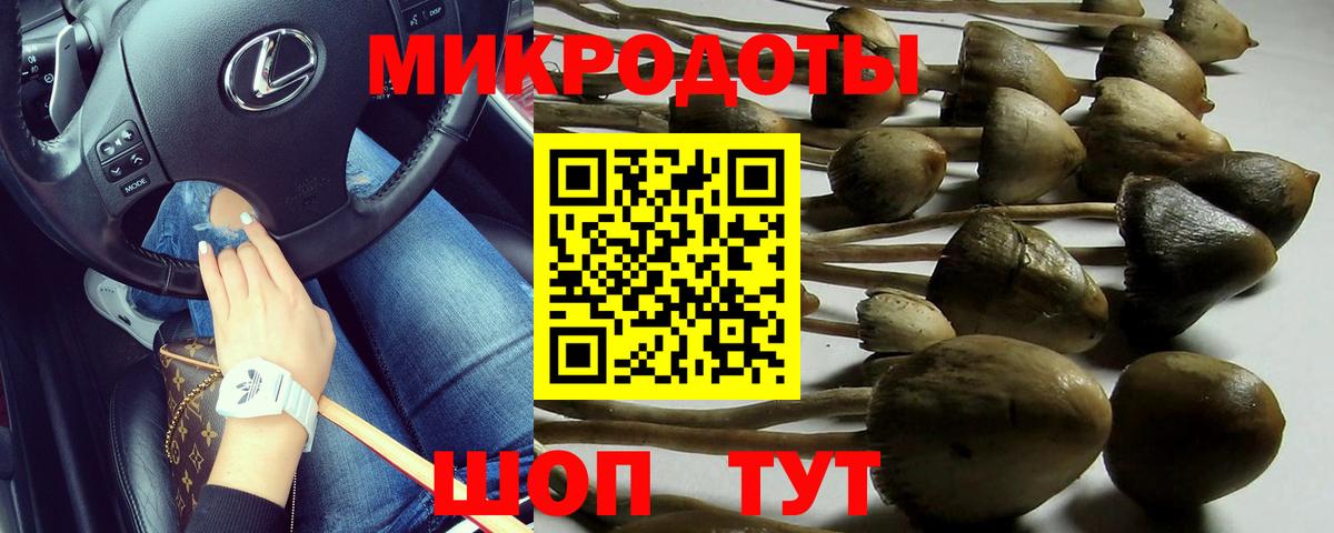 Псилоцибиновые грибы Magic Shrooms Лосино-Петровский