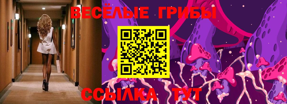 Лосино-Петровский  Галлюциногенные грибы Psilocybe  Вход с VPN  Псилоцибиновые грибы мухоморы 